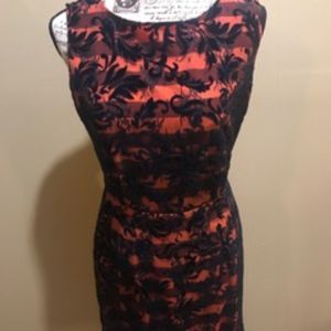 Daniel Cremieux Sheath Dress with Lace Overlay